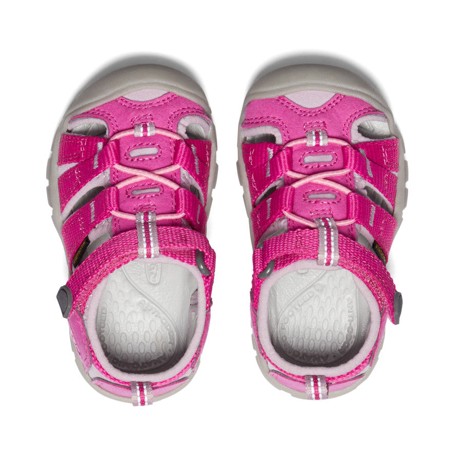 Toddlers' Seacamp II CNX | Very Berry/Dawn Pink - Image 4